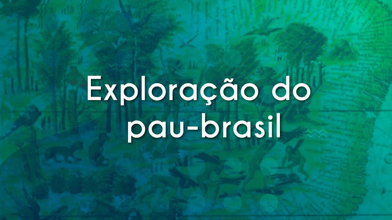 Thumbnail: Exploração do pau-brasil - Brasil Escola