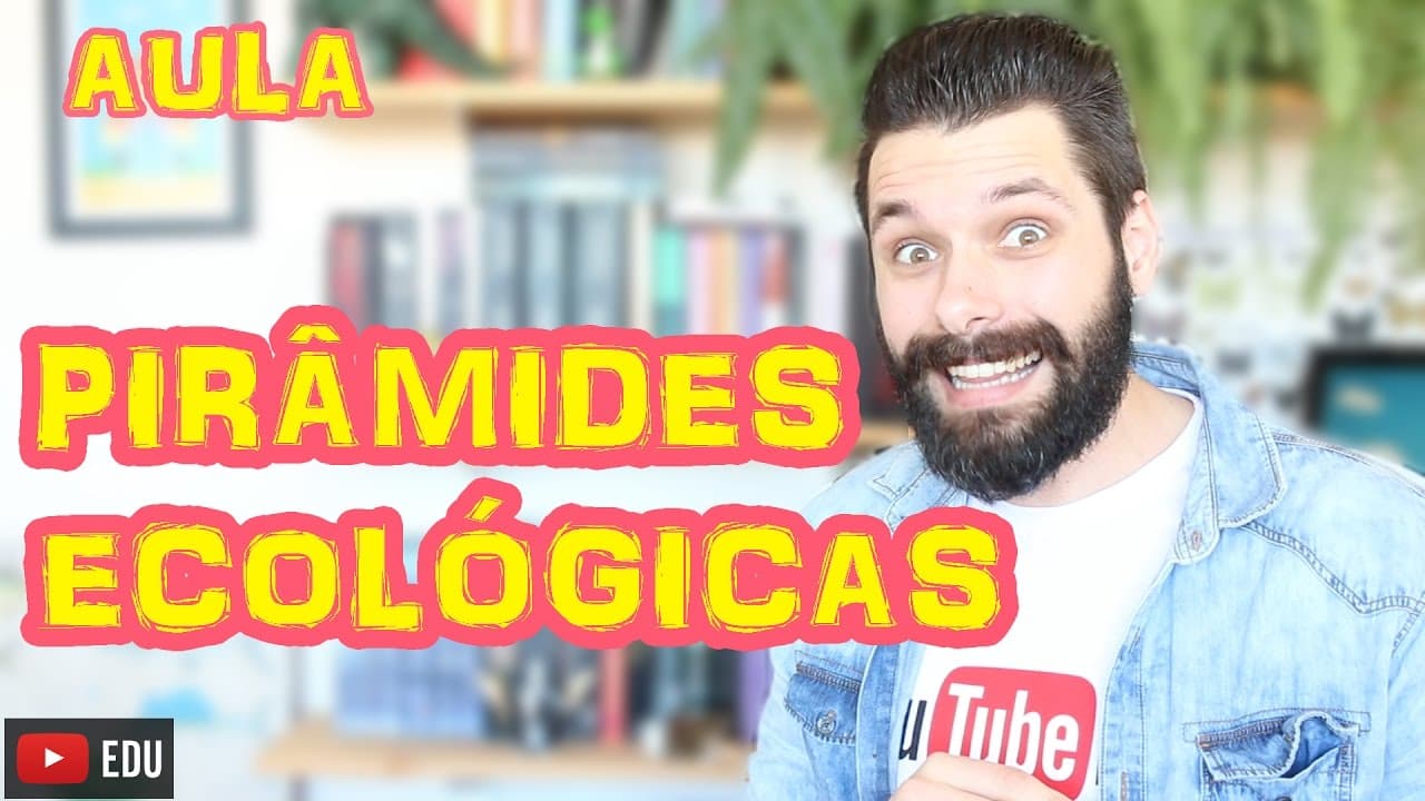 Thumbnail: Pirâmides Ecológicas: Tipos e Dinâmica da Energia