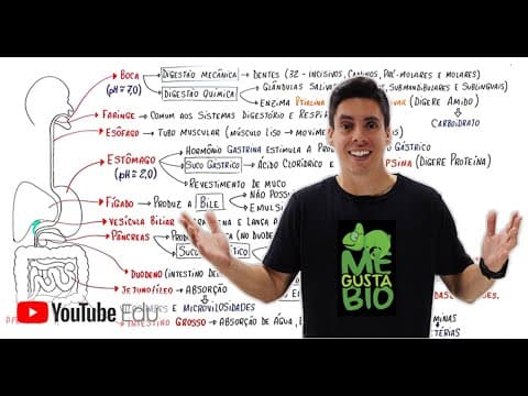 Thumbnail da aula: Sistema Digestório | Me Gusta Bio com Professor Gustavo Schmidt