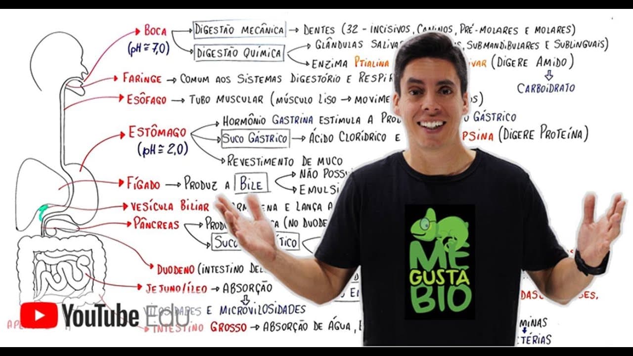 Thumbnail: Sistema Digestório | Me Gusta Bio com Professor Gustavo Schmidt