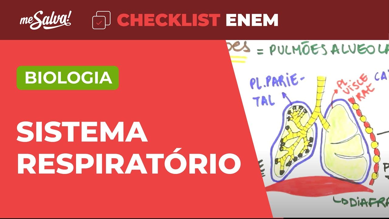 Thumbnail: Fisiologia: Sistema Respiratório - Biologia | Checklist ENEM | Me Salva!