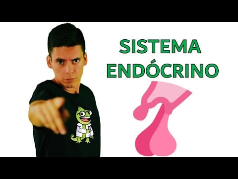 Thumbnail da aula: Sistema Endócrino - Resumo Professor Gustavo