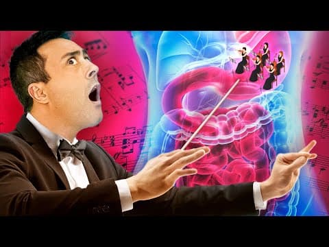 Thumbnail da aula: SISTEMA DIGESTÓRIO: Hormônios Digestivos | AULA 6
