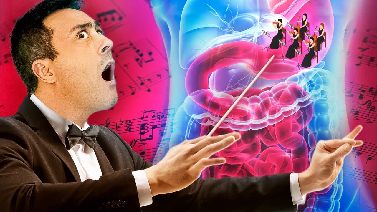 Thumbnail: SISTEMA DIGESTÓRIO: Hormônios Digestivos | AULA 6