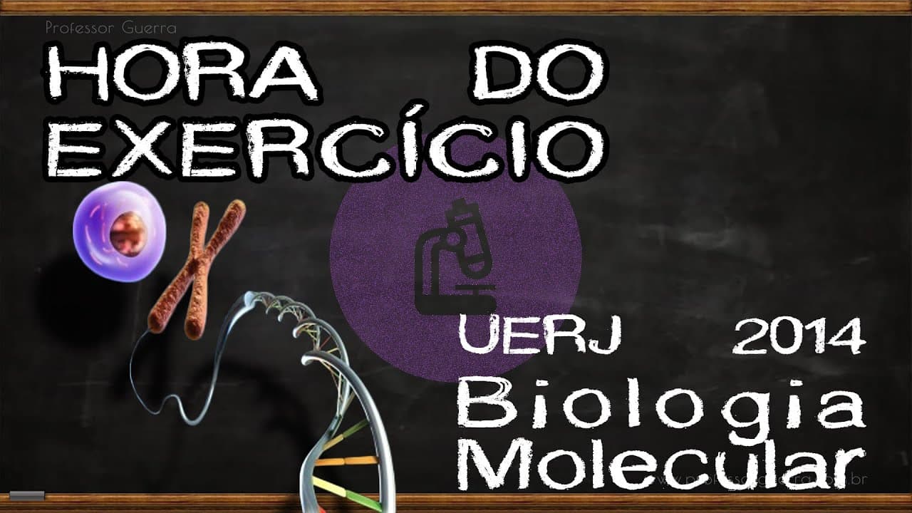 Thumbnail: Biologia molecular - UERJ 2014