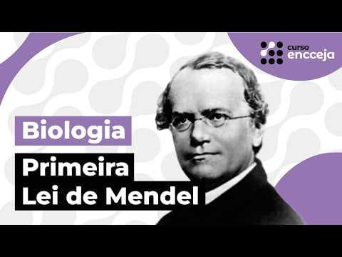 Thumbnail da aula: PRIMEIRA LEI DE MENDEL (GENÉTICA) | RESUMO DE BIOLOGIA PARA O ENCCEJA