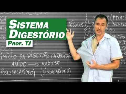Thumbnail da aula: Biologia - Sistema Digestório