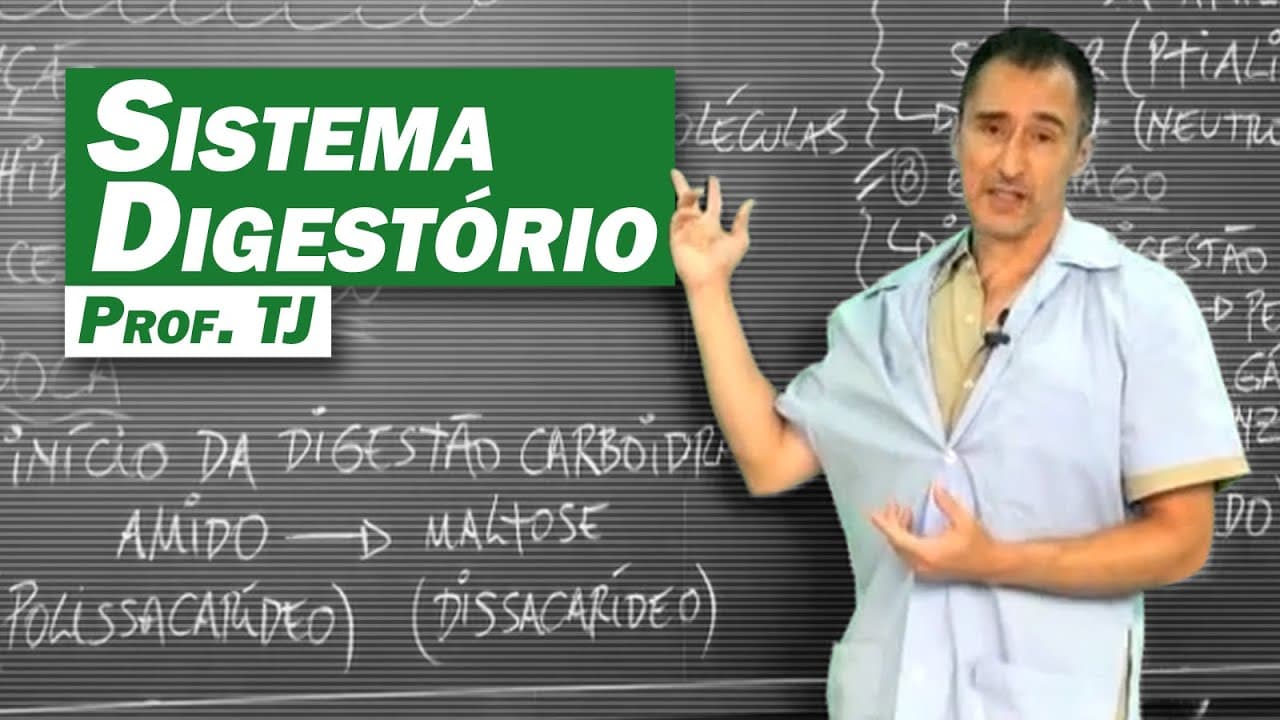 Thumbnail: Biologia - Sistema Digestório