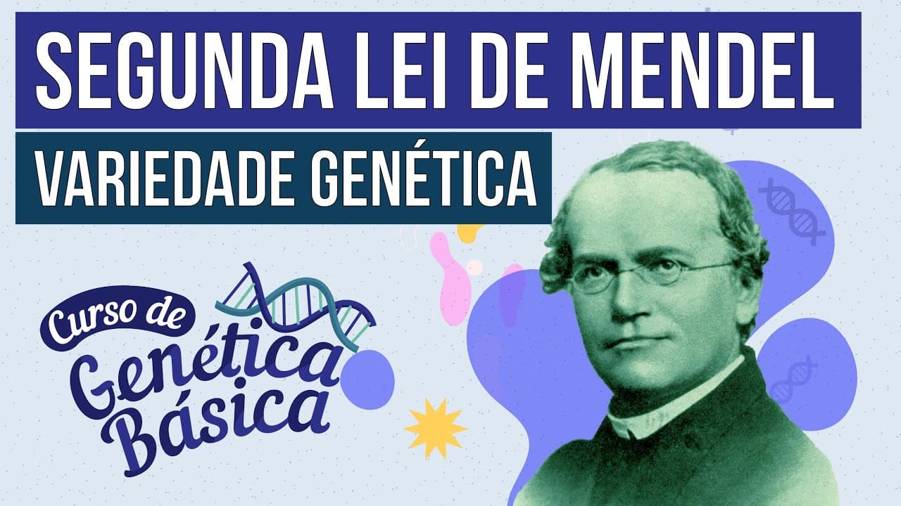 Thumbnail: 2ª LEI DE MENDEL: variedade genética | Curso de Genética Básica | Biologia Enem | Cláudia Aguiar