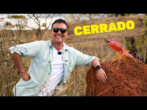 Thumbnail da aula: Cerrado | Biomas do Brasil | Ep.10