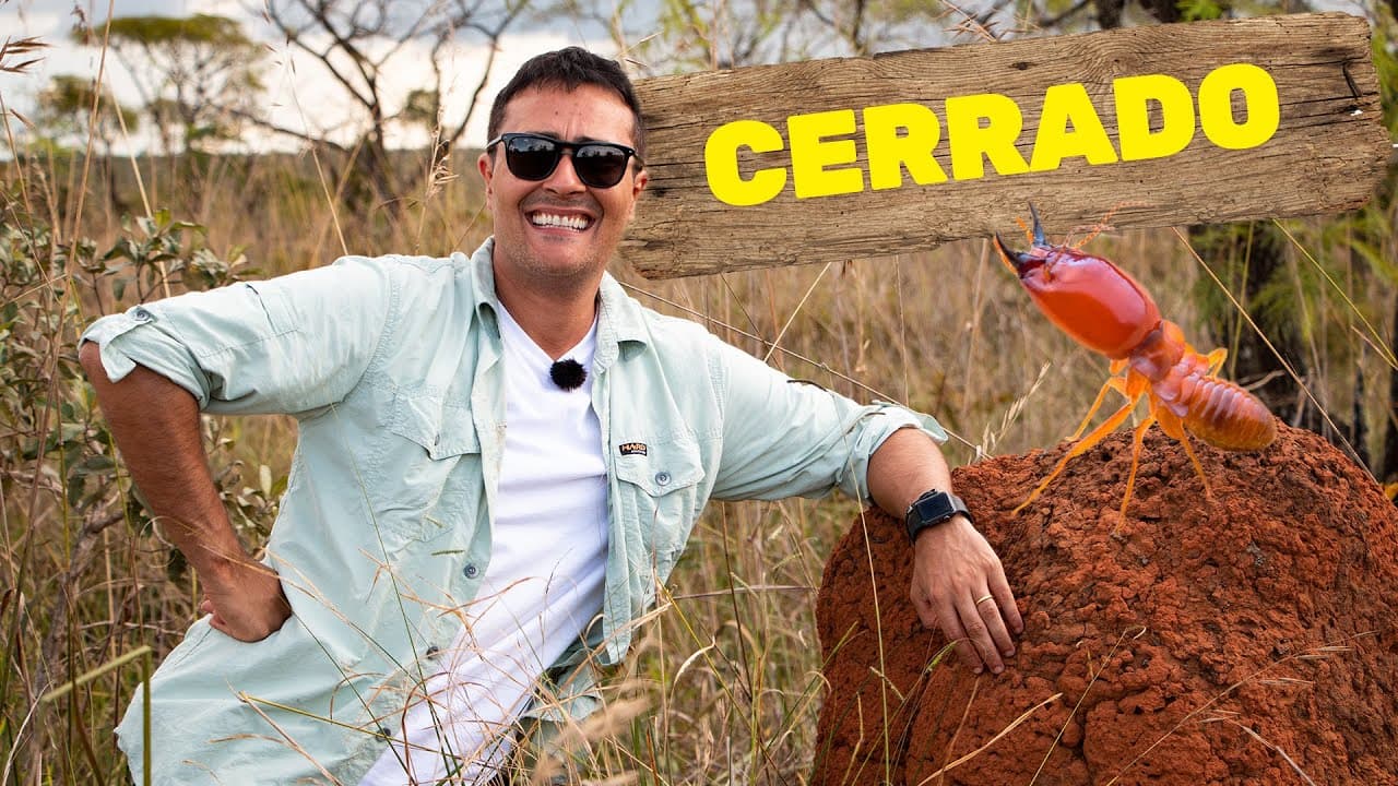 Thumbnail: Cerrado | Biomas do Brasil | Ep.10