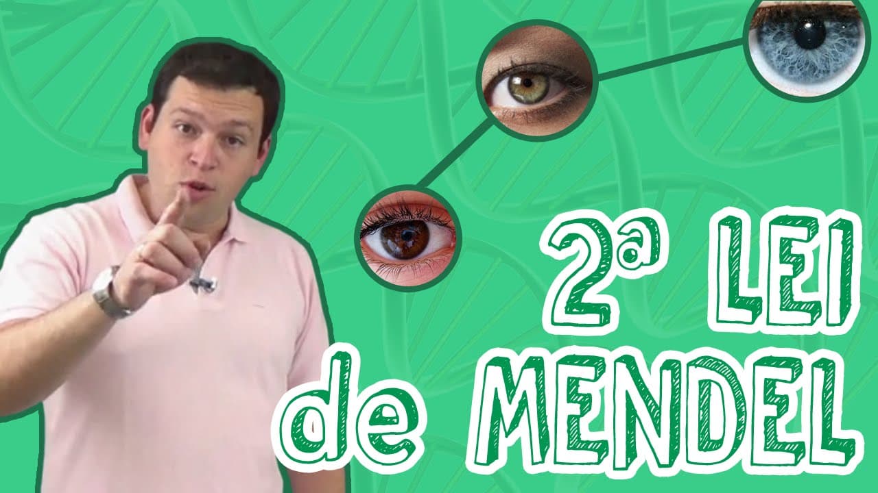 Thumbnail: Aula Biologia - Genética - 2ª Lei de Mendel para o Enem e Vestibulares - STOODI