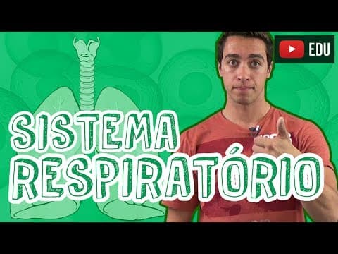 Thumbnail da aula: Aula Biologia - Fisiologia Animal - Sistema Respiratório para o Enem e Vestibulares - STOODI