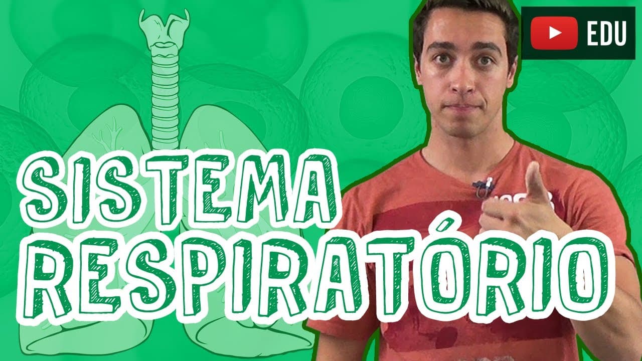 Thumbnail: Aula Biologia - Fisiologia Animal - Sistema Respiratório para o Enem e Vestibulares - STOODI