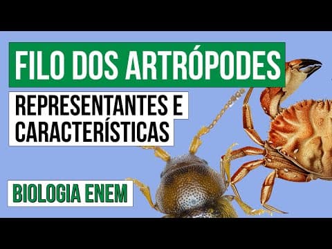 Thumbnail da aula: FILO DOS ARTRÓPODES: representantes e características | Biologia para o Enem | Cláudia  Aguiar