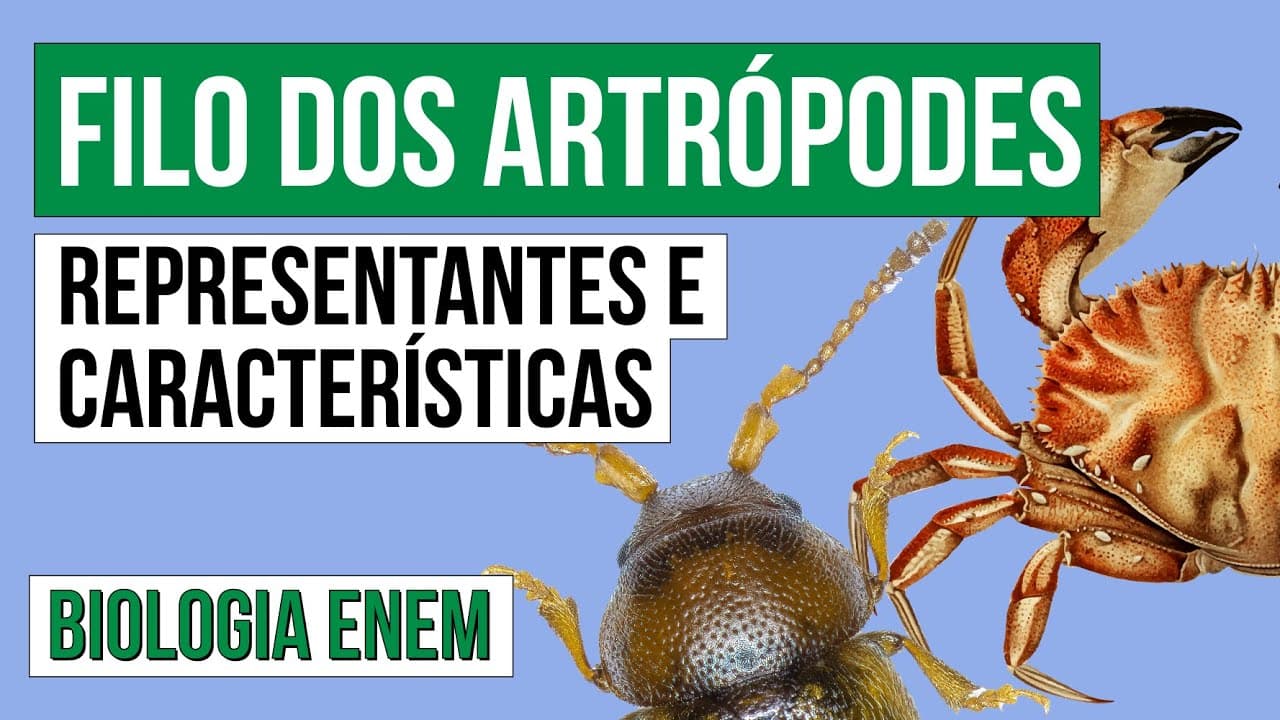 Thumbnail: FILO DOS ARTRÓPODES: representantes e características | Biologia para o Enem | Cláudia  Aguiar