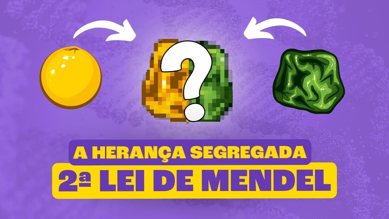 Thumbnail: Segunda Lei de Mendel: A Herança Segregada!