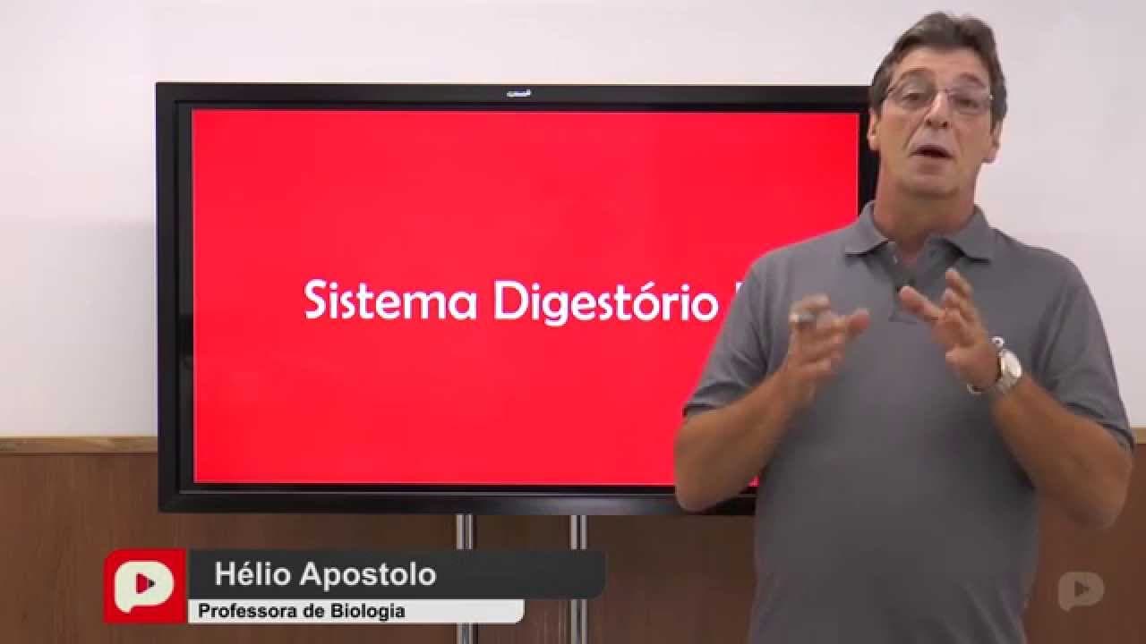 Thumbnail: Biologia - Sistema digestório - Parte 1