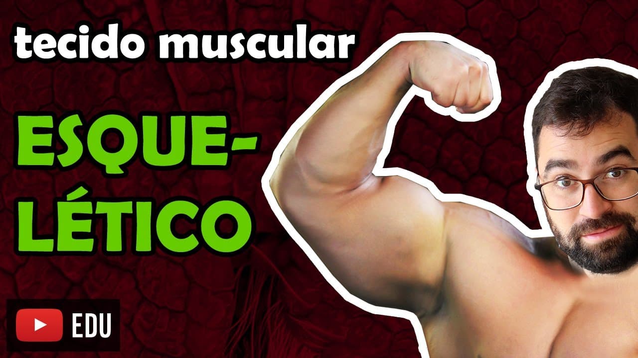 Thumbnail: Estrutura do Músculo Esquelético - Aula 14 - Módulo VII: Histologia e Fisiologia Humana | Prof. Gui