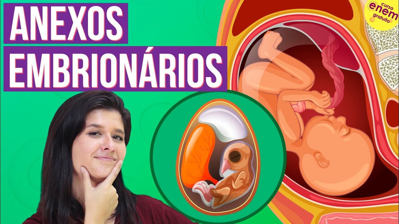Thumbnail: ANEXOS EMBRIONÁRIOS E SUAS PRINCIPAIS FUNÇÕES | Resumo de Biologia para o Enem