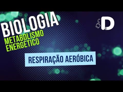 Thumbnail da aula: Respiração Aeróbica - Metabolismo Energético - Biologia - Preparatório Enem
