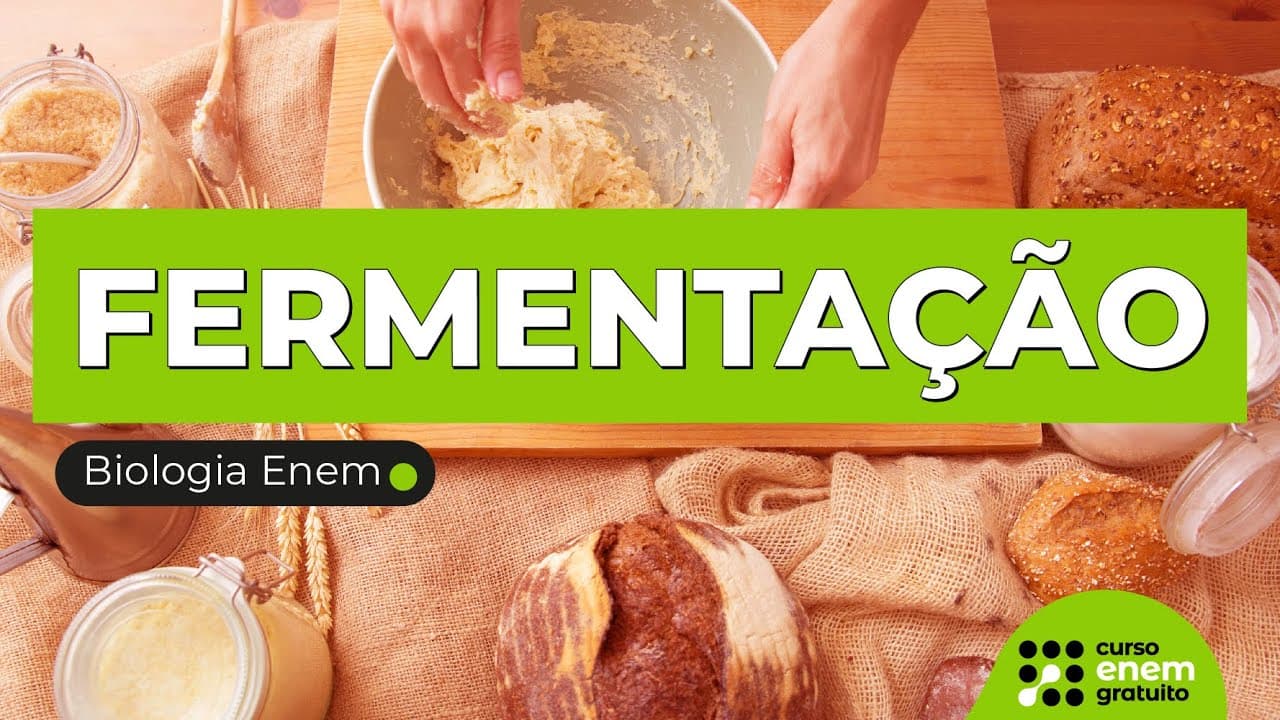 Thumbnail: FERMENTAÇÃO | Biologia para o Enem | Cláudia de Souza Aguiar