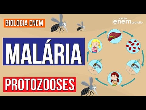 Thumbnail da aula: MALÁRIA: tipos de protozooses | Resumo de Biologia Enem | Cláudia de Souza Aguiar