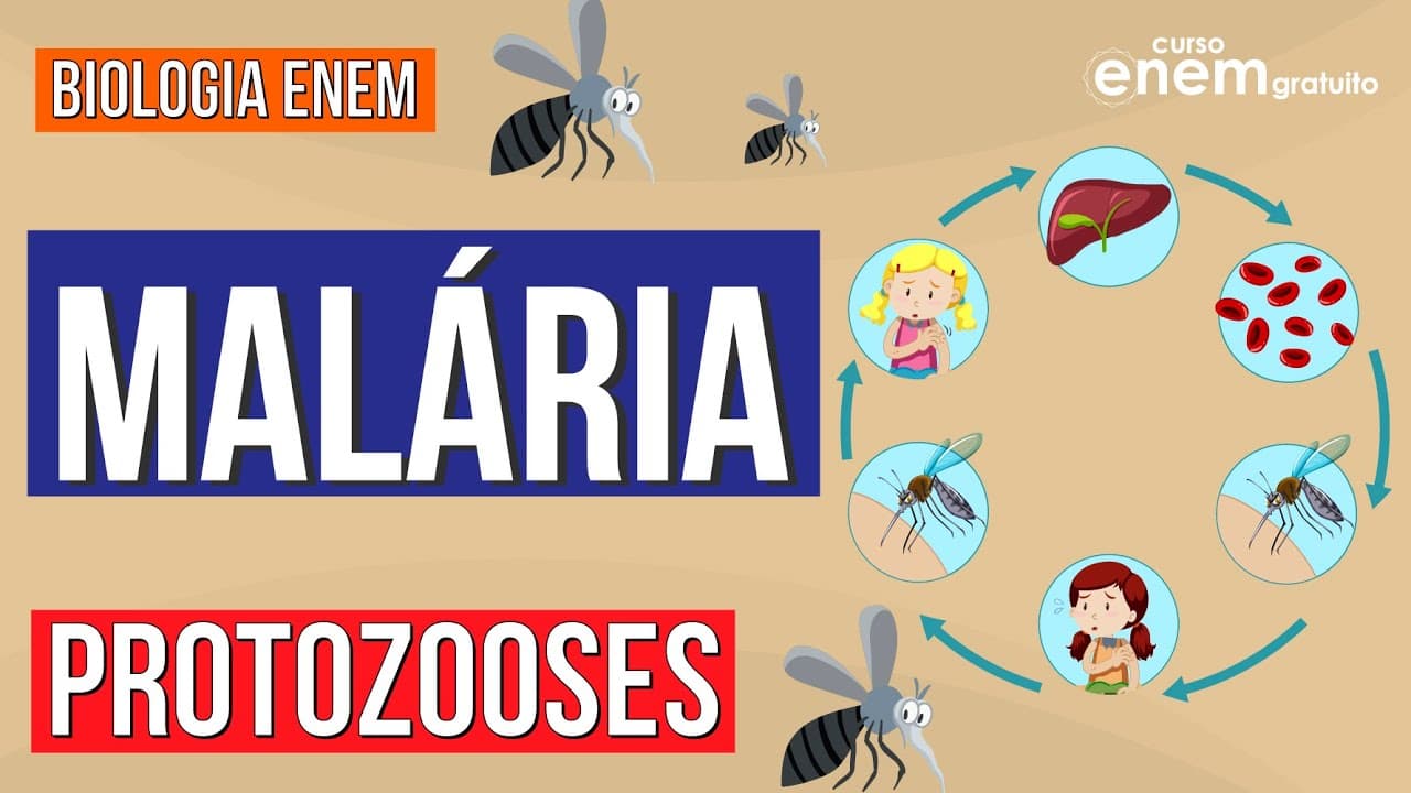 Thumbnail: MALÁRIA: tipos de protozooses | Resumo de Biologia Enem | Cláudia de Souza Aguiar