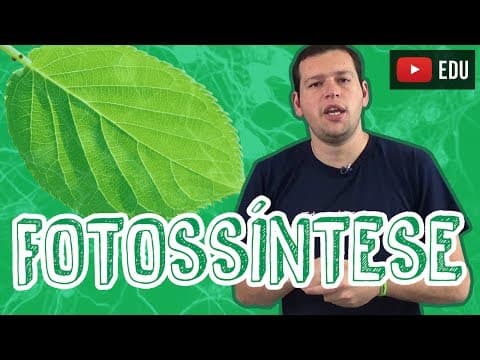 Thumbnail da aula: Aula Biologia - Fotossíntese - Visão Geral para o Enem e Vestibulares - STOODI