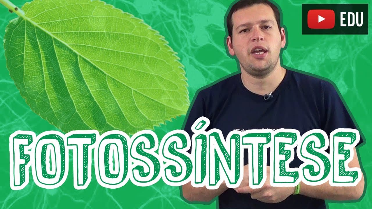 Thumbnail: Aula Biologia - Fotossíntese - Visão Geral para o Enem e Vestibulares - STOODI