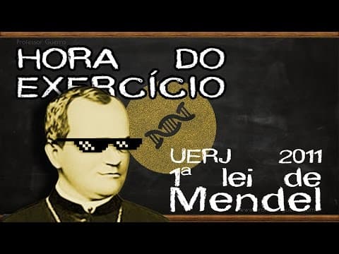 Thumbnail da aula: 1ª lei de Mendel - UERJ 2011