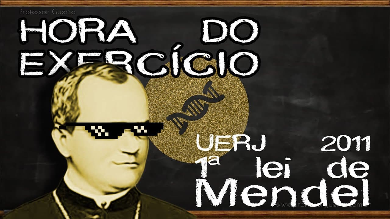 Thumbnail: 1ª lei de Mendel - UERJ 2011