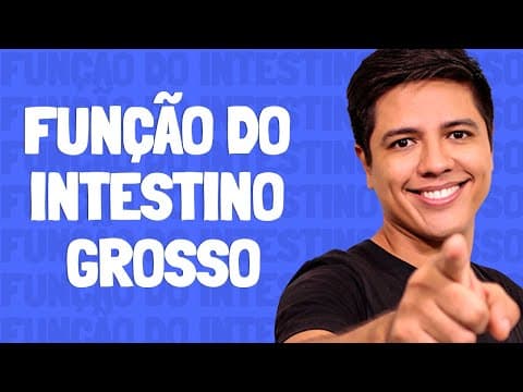 Thumbnail da aula: Função do Intestino Grosso - Prof. Kennedy Ramos.