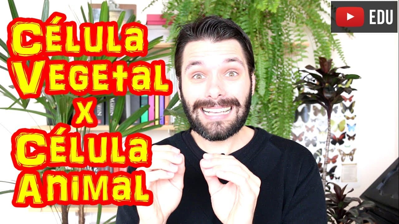 Thumbnail: Célula Vegetal x Célula Animal - Principais Diferenças
