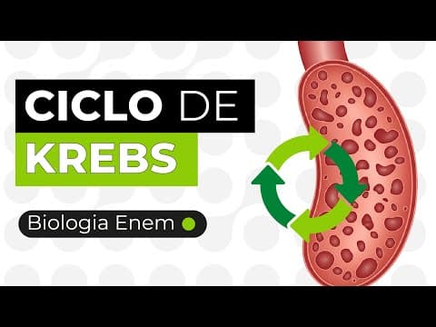 Thumbnail da aula: CICLO DE KREBS | Biologia para o Enem | Cláudia de Souza Aguiar