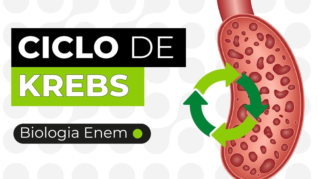 Thumbnail: CICLO DE KREBS | Biologia para o Enem | Cláudia de Souza Aguiar