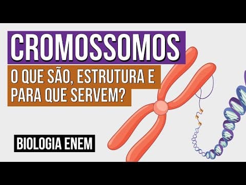 Thumbnail da aula: CROMOSSOMOS: o que são, estrutura e para que servem? | Biologia para o Enem | Cláudia Souza Aguiar