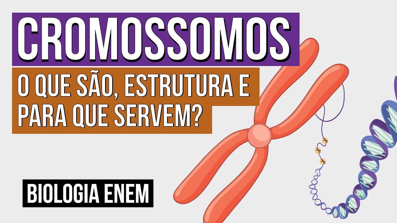 Thumbnail: CROMOSSOMOS: o que são, estrutura e para que servem? | Biologia para o Enem | Cláudia Souza Aguiar