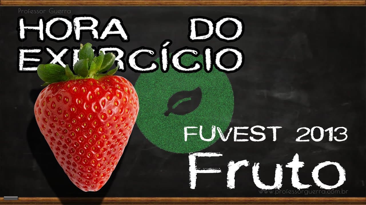 Thumbnail: Fruto - FUVEST 2013