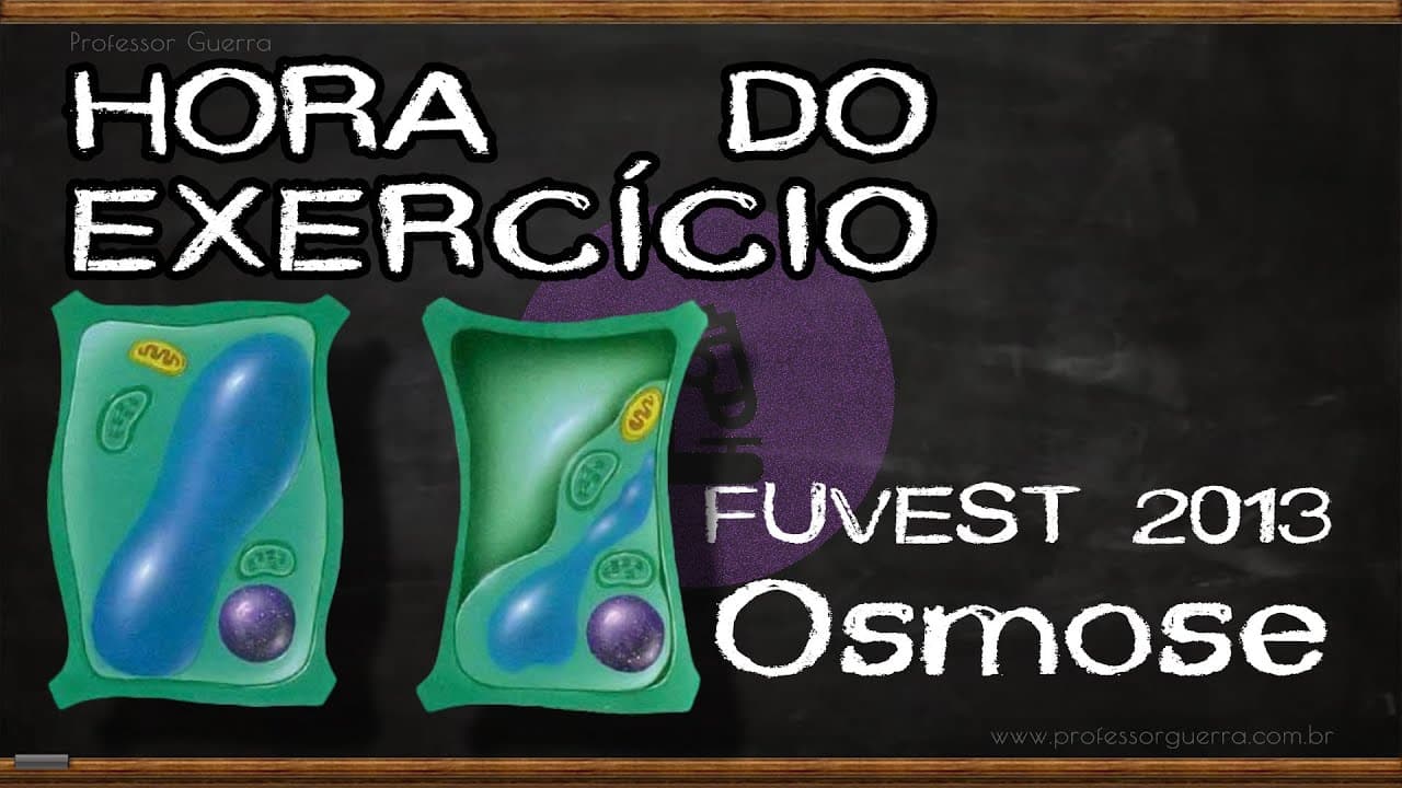 Thumbnail: Osmose - FUVEST 2013