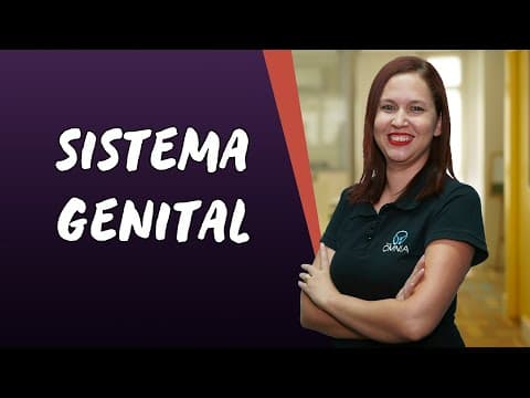 Thumbnail da aula: Sistema Genital - Brasil Escola