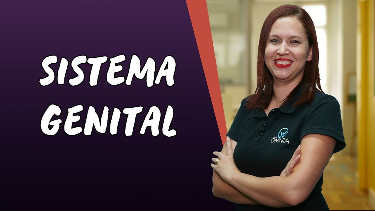 Thumbnail: Sistema Genital - Brasil Escola