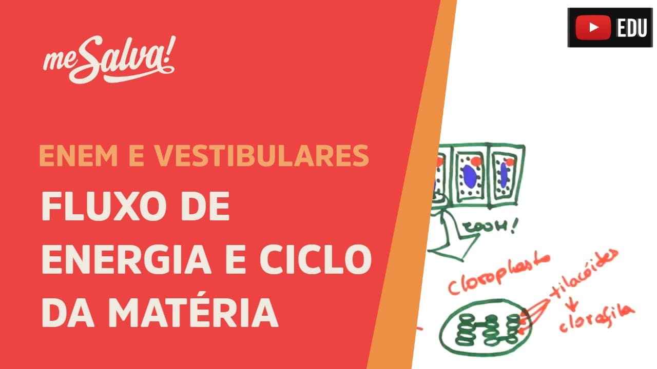 Thumbnail: Me Salva! ECO12 - Ecologia - Fluxo de energia e ciclo da matéria