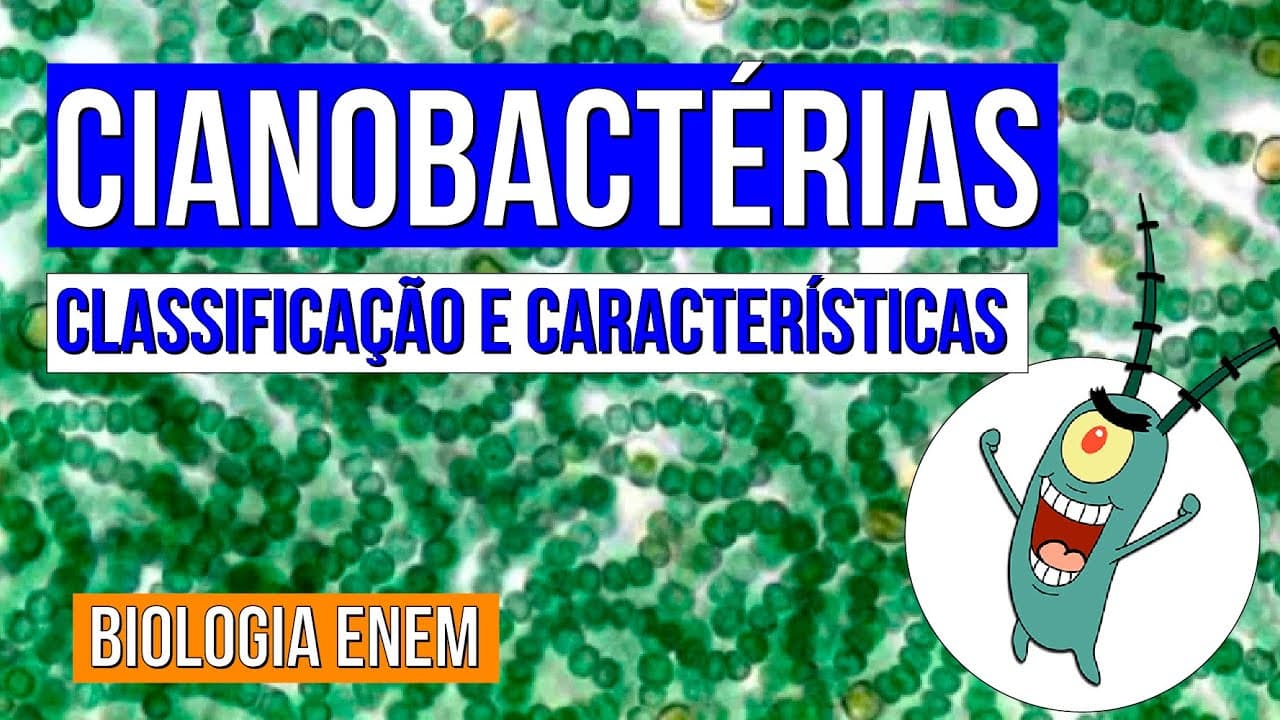 Thumbnail: CIANOBACTÉRIAS: classificação e características | Resumo de Biologia para o Enem | Cláudia Aguiar