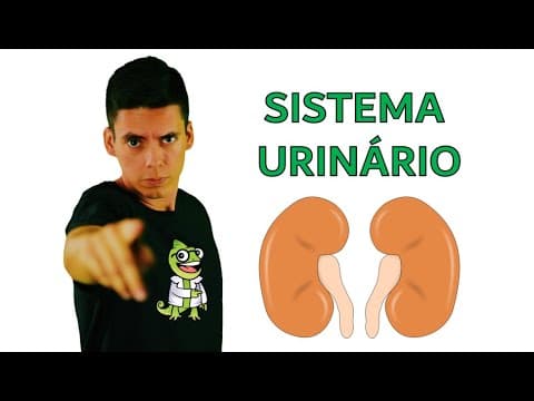 Thumbnail da aula: Sistema Urinário - Resumo Professor Gustavo Schmidt