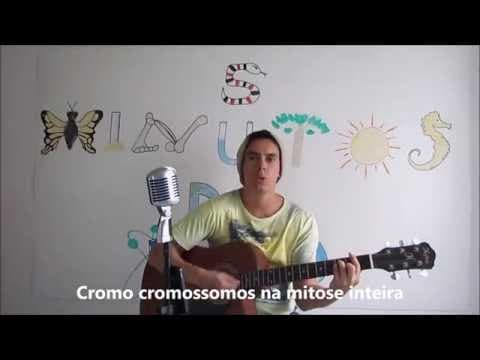 Thumbnail da aula: Mitose Música
