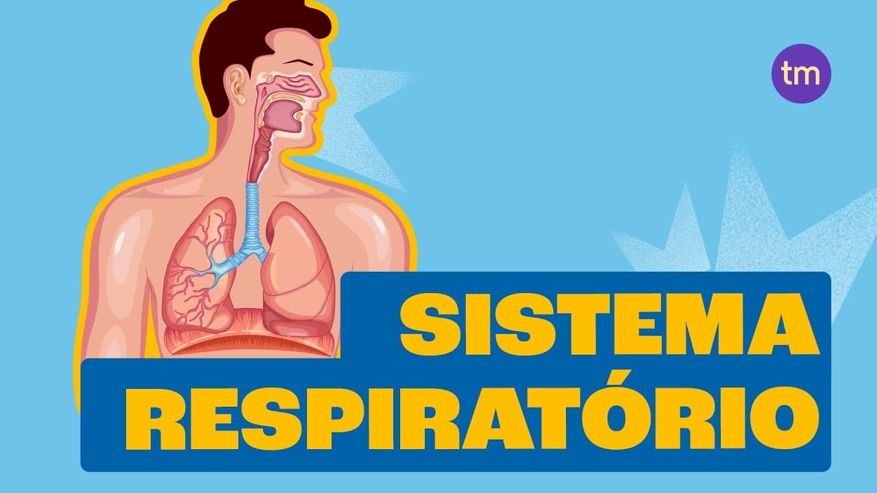 Thumbnail: Como funciona o Sistema Respiratório?