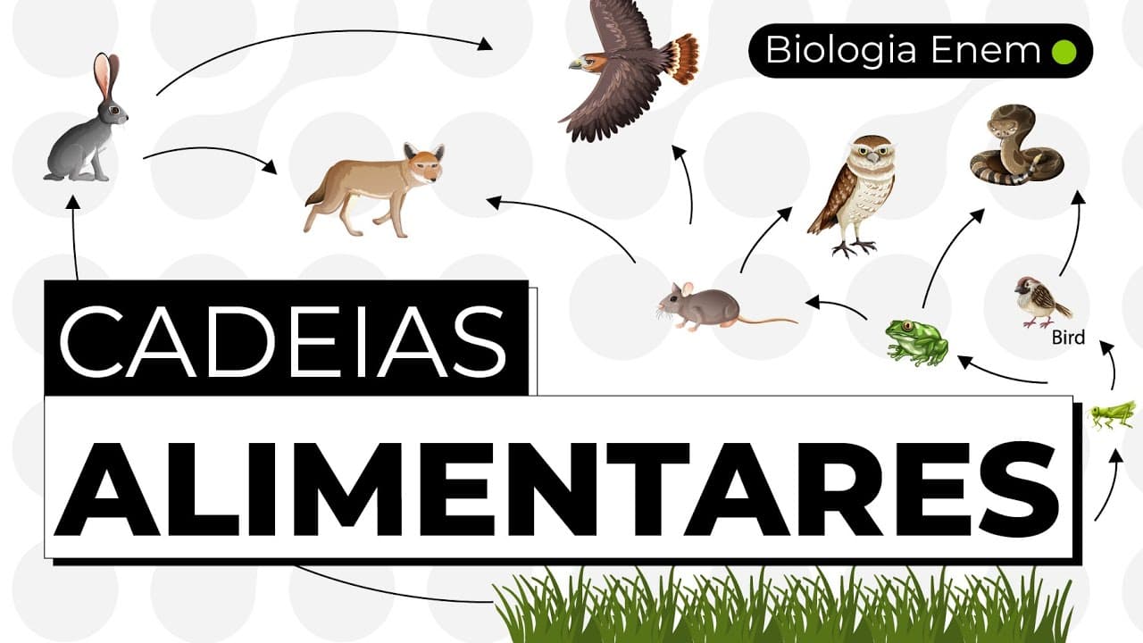 Thumbnail: CADEIAS ALIMENTARES | Resumo de Biologia para o Enem