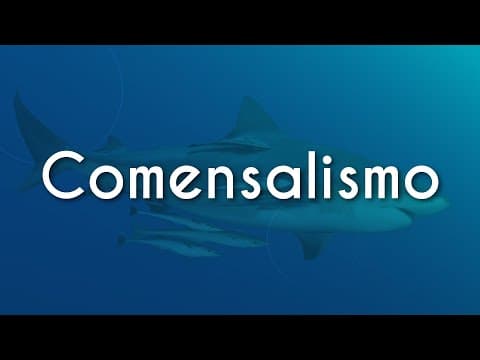 Thumbnail da aula: Comensalismo - Brasil Escola