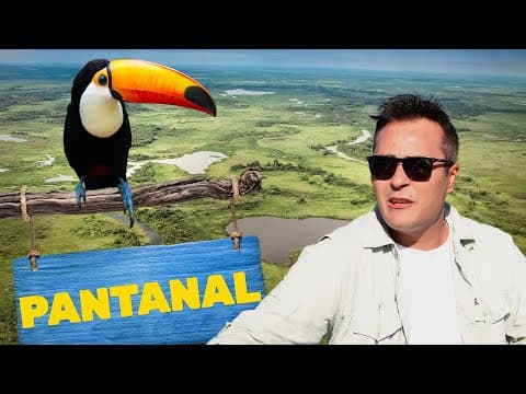 Thumbnail da aula: Pantanal | Biomas do Brasil | Ep.1